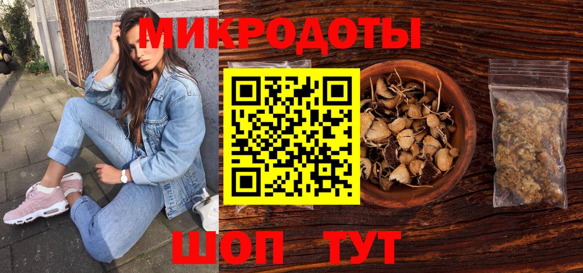 Тайшет  Галлюциногенные грибы Psilocybine cubensis  Вход с VPN 